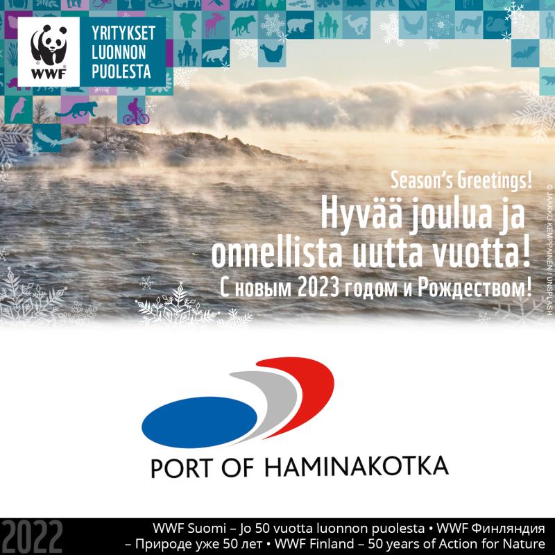 Joulutervehdys 2022 FI RU EN